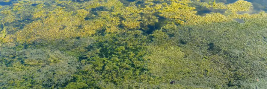 Неравномерное распределение воды в городе